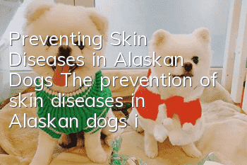 Preventing Skin Diseases in Alaskan Dogs The prevention of skin diseases in Alaskan dogs is very important!