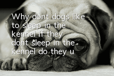 Why don’t dogs like to sleep in the kennel? If they don’t sleep in the kennel, do they usually sleep with you?