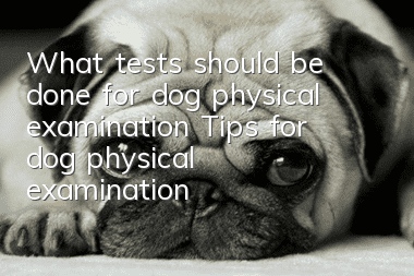 What tests should be done for dog physical examination? Tips for dog physical examination