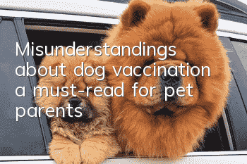 Misunderstandings about dog vaccination, a must-read for pet parents