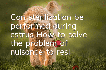 Can sterilization be performed during estrus? How to solve the problem of nuisance to residents without sterilization?