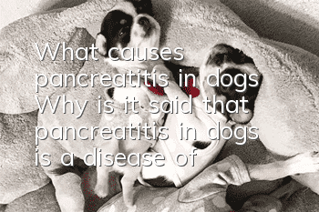 What causes pancreatitis in dogs? Why is it said that pancreatitis in dogs is a disease of wealth?