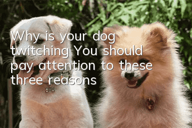 Why is your dog twitching? You should pay attention to these three reasons