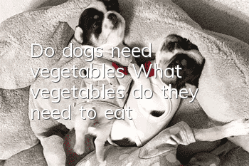 Do dogs need vegetables? What vegetables do they need to eat?
