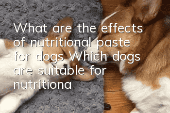 What are the effects of nutritional paste for dogs? Which dogs are suitable for nutritional paste?