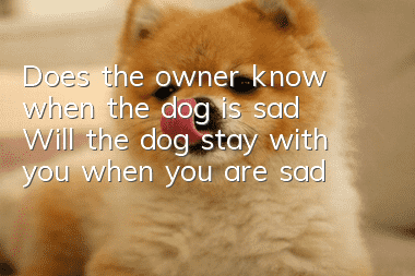 Does the owner know when the dog is sad? Will the dog stay with you when you are sad?