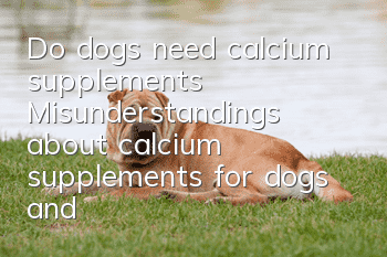 Do dogs need calcium supplements? Misunderstandings about calcium supplements for dogs and the correct way to supplement calcium