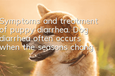 Symptoms and treatment of puppy diarrhea. Dog diarrhea often occurs when the seasons change.