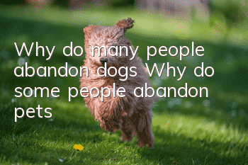 Why do many people abandon dogs? Why do some people abandon pets?