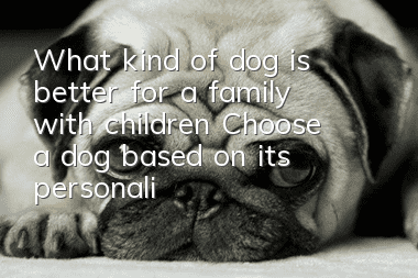 What kind of dog is better for a family with children? Choose a dog based on its personality