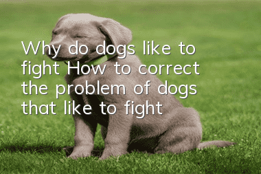 Why do dogs like to fight? How to correct the problem of dogs that like to fight?