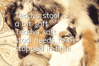 Teddy's stool is a bit soft. Teddy's soft stool needs to be stopped in time!