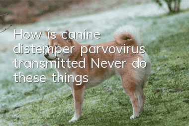 How is canine distemper parvovirus transmitted? Never do these things!
