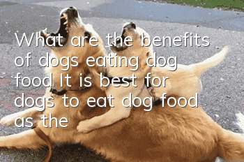 What are the benefits of dogs eating dog food? It is best for dogs to eat dog food as the main food.