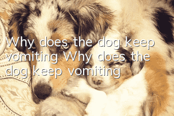 Why does the dog keep vomiting? Why does the dog keep vomiting?