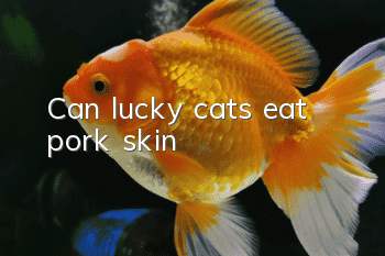 Can lucky cats eat pork skin?