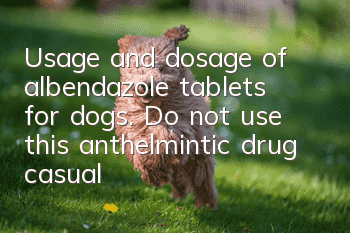 Usage and dosage of albendazole tablets for dogs. Do not use this anthelmintic drug casually.