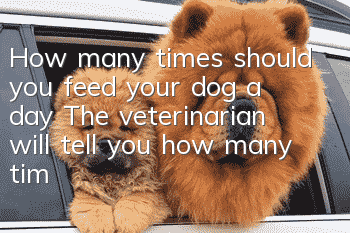 How many times should you feed your dog a day? The veterinarian will tell you how many times you should feed your dog a day.