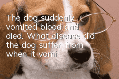 The dog suddenly vomited blood and died. What disease did the dog suffer from when it vomited blood and died?
