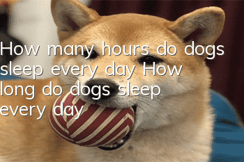 How many hours do dogs sleep every day? How long do dogs sleep every day?