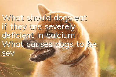 What should dogs eat if they are severely deficient in calcium? What causes dogs to be severely deficient in calcium?
