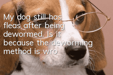 My dog still has fleas after being dewormed. Is it because the deworming method is wrong or something is wrong?
