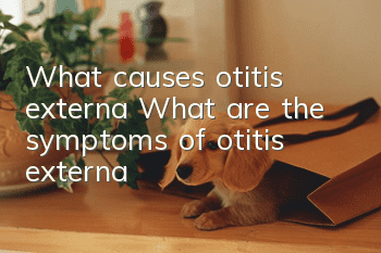 What causes otitis externa? What are the symptoms of otitis externa?