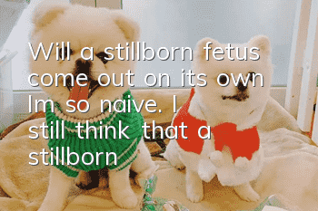 Will a stillborn fetus come out on its own? I’m so naive. I still think that a stillborn fetus will come out on its own.