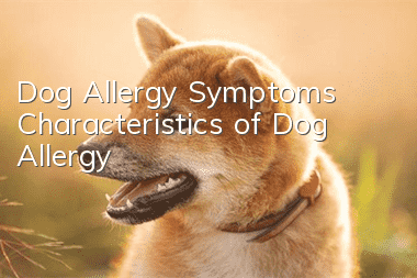 Dog Allergy Symptoms Characteristics of Dog Allergy