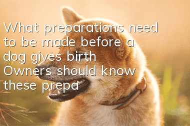 What preparations need to be made before a dog gives birth? Owners should know these preparations