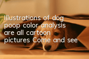 Illustrations of dog poop color analysis are all cartoon pictures! Come and see