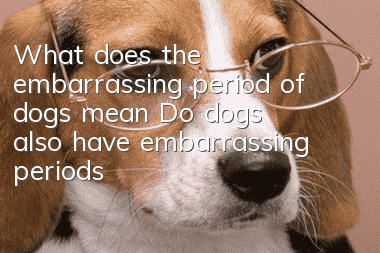 What does the embarrassing period of dogs mean? Do dogs also have embarrassing periods?