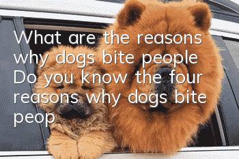 What are the reasons why dogs bite people? Do you know the four reasons why dogs bite people?