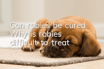 Can rabies be cured? Why is rabies difficult to treat?