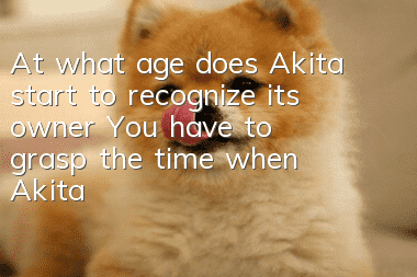 At what age does Akita start to recognize its owner? You have to grasp the time when Akita recognizes its owner.