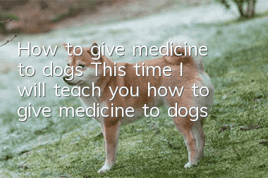 How to give medicine to dogs This time I will teach you how to give medicine to dogs!