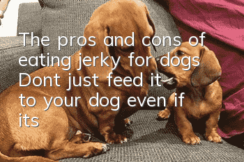 The pros and cons of eating jerky for dogs Don’t just feed it to your dog, even if it’s jerky!