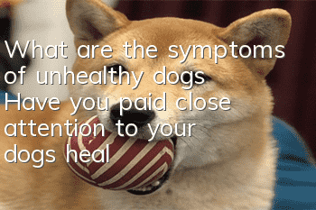 What are the symptoms of unhealthy dogs? Have you paid close attention to your dog’s health?