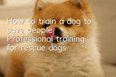 How to train a dog to save people? Professional training for rescue dogs