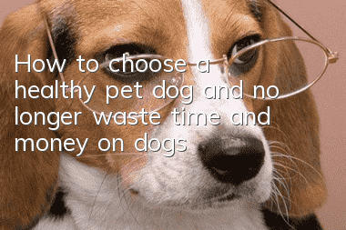 How to choose a healthy pet dog and no longer waste time and money on dogs