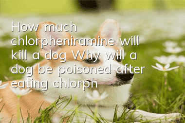 How much chlorpheniramine will kill a dog? Why will a dog be poisoned after eating chlorpheniramine?