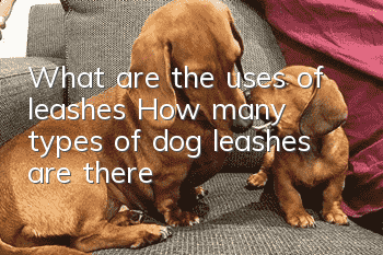 What are the uses of leashes? How many types of dog leashes are there?
