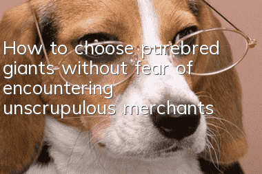 How to choose purebred giants without fear of encountering unscrupulous merchants