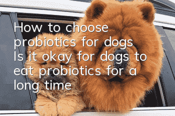 How to choose probiotics for dogs? Is it okay for dogs to eat probiotics for a long time?