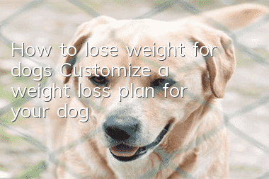 How to lose weight for dogs Customize a weight loss plan for your dog