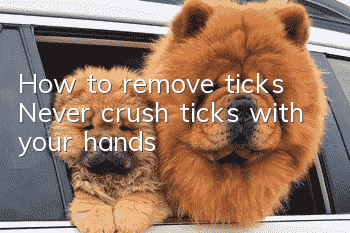 How to remove ticks Never crush ticks with your hands