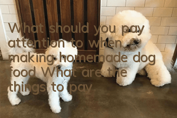 What should you pay attention to when making homemade dog food? What are the things to pay attention to when making homemade dog food?