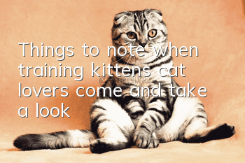 Things to note when training kittens, cat lovers, come and take a look!