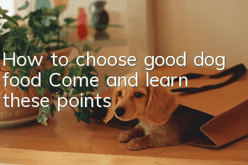 How to choose good dog food? Come and learn these points