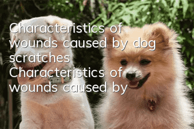 Characteristics of wounds caused by dog scratches Characteristics of wounds caused by dog scratches